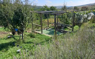 Casa+teren 3100 mp, Balda, jud. Mures - Poză 22
