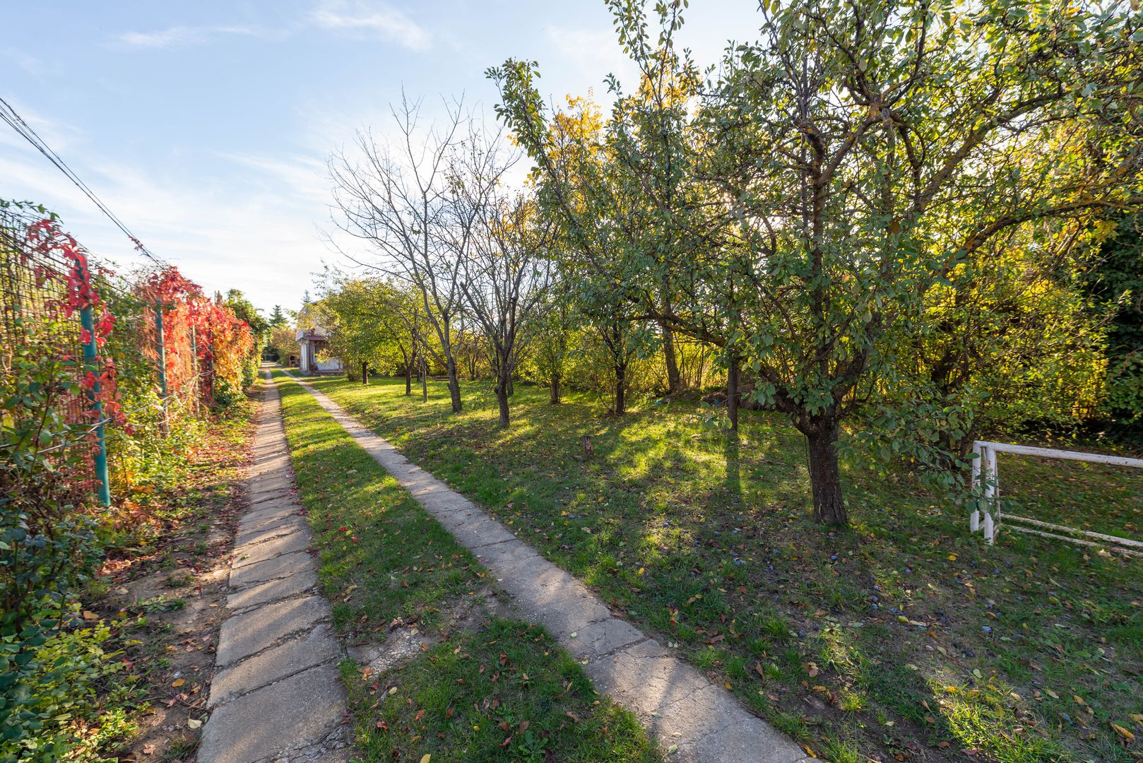 Casa cu 4 camere de vanzare Domnesti - Poză 21