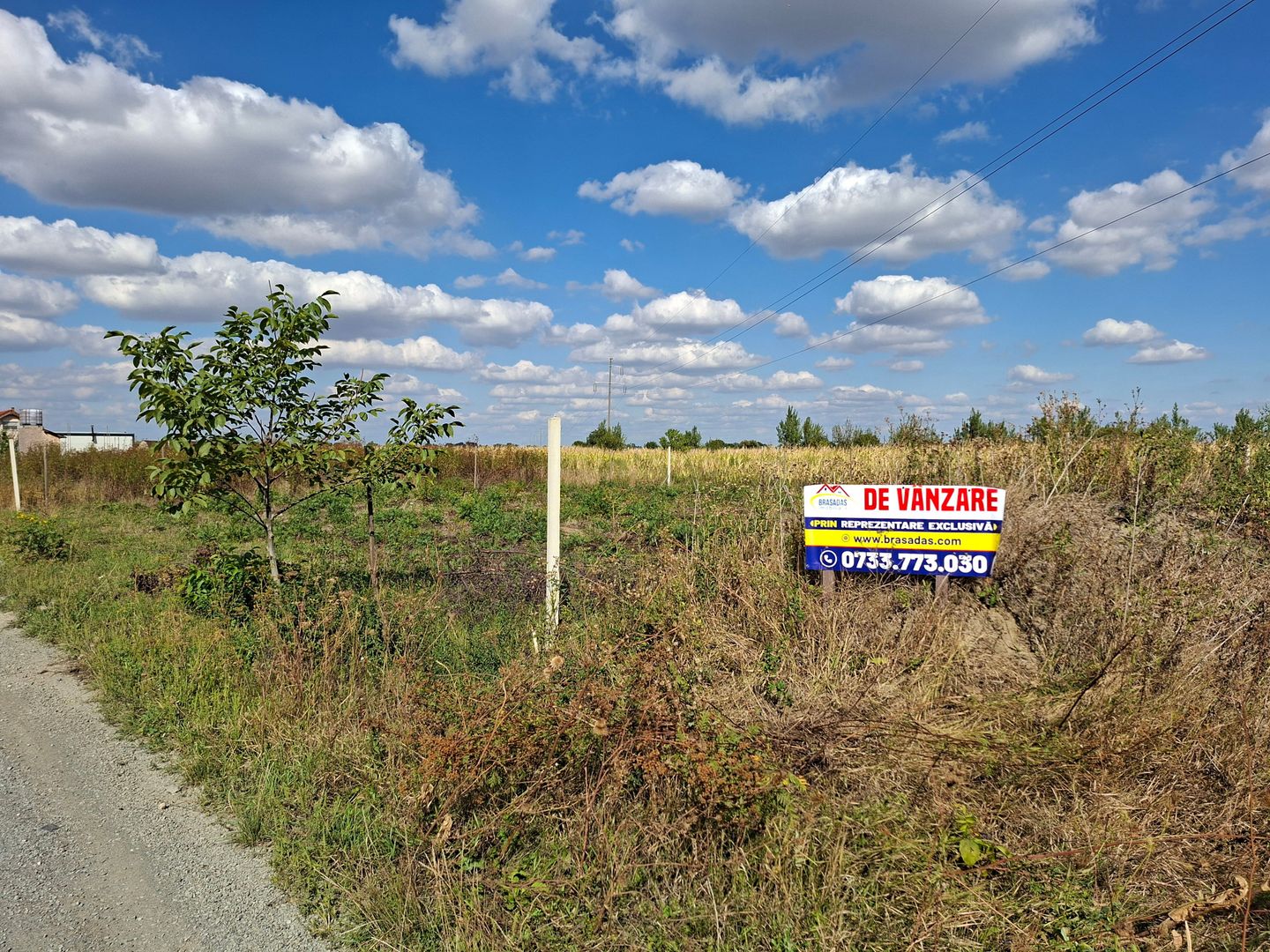 Teren în Satu Mare, judet Satu Mare - Poză 2