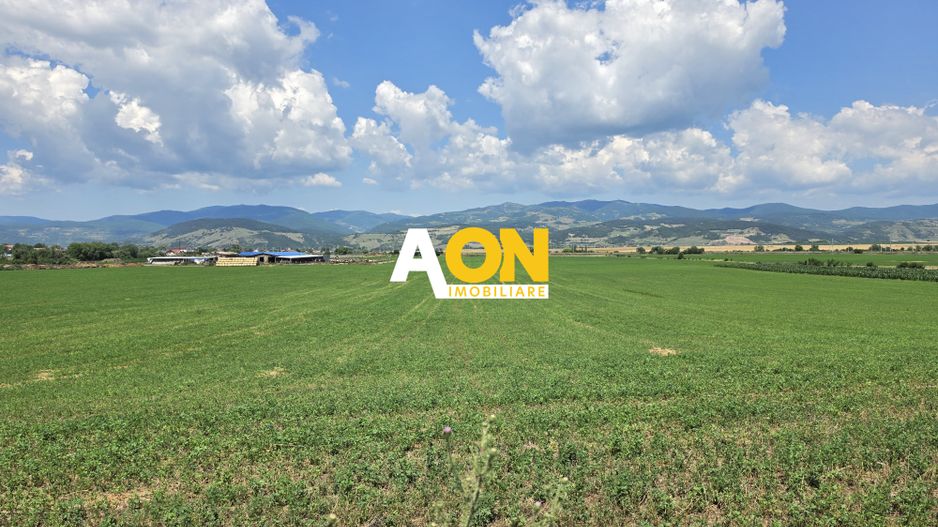 Teren intravilan industrial, 21300 mp, deschidere 77 mp, Vintu de Jos - Poză 1