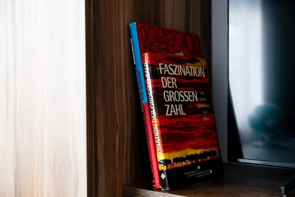 Vila de inchiriat | Silistea Snagovului | Aproape de lac-ponton privat | Jacuzzi - Poză 8