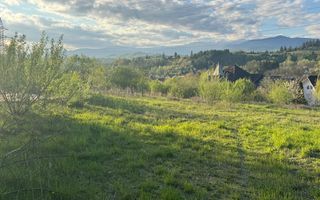 TEREN INTRAVILAN 2500 MP GRUI CAMPULUNG - Poză 1