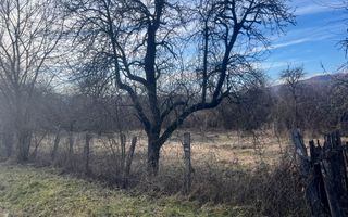 Teren Daesti / 814mp - Poză 2