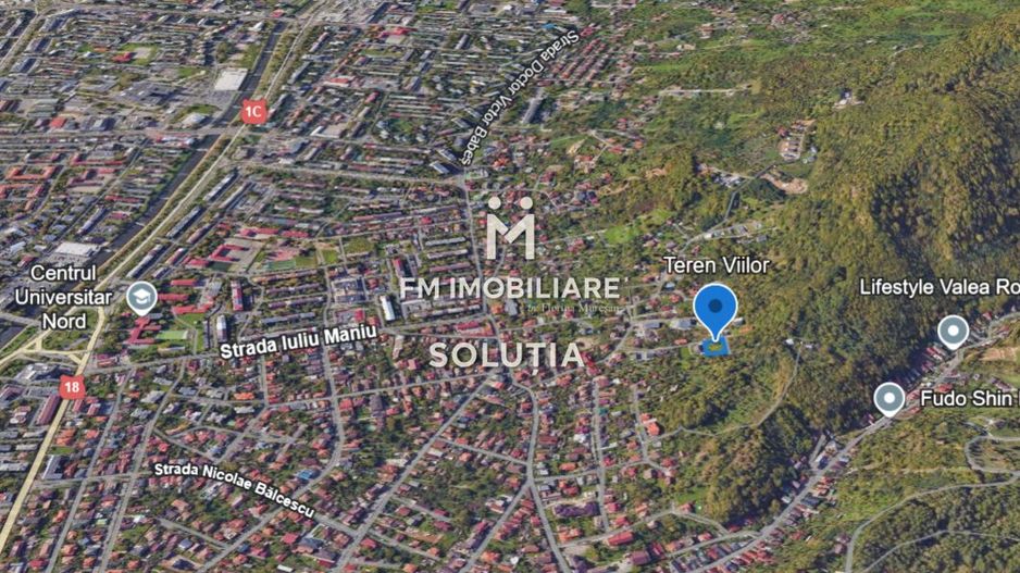 Teren Viilor,  Baia Mare! - Poză 2