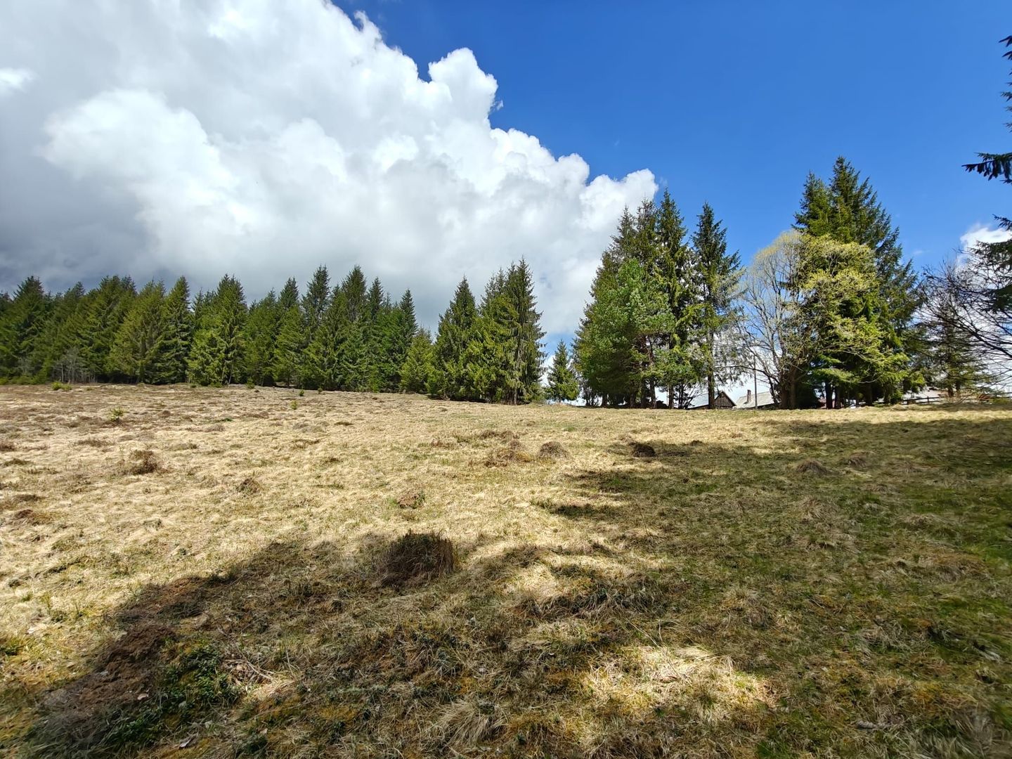 Teren intravilan, 1500 mp, Dealu Botii, com Belis, Comision 0 - Poză 2