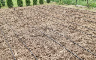 Casă P+M cu 1.558 mp teren, livadă și garaj | Barza, Gorj Comision 0%  - Poză 21