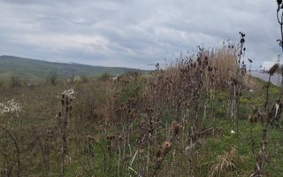 Teren 2100 mp-ideal casa de vacanta, investitie-Budacu de Jos - Poză 4