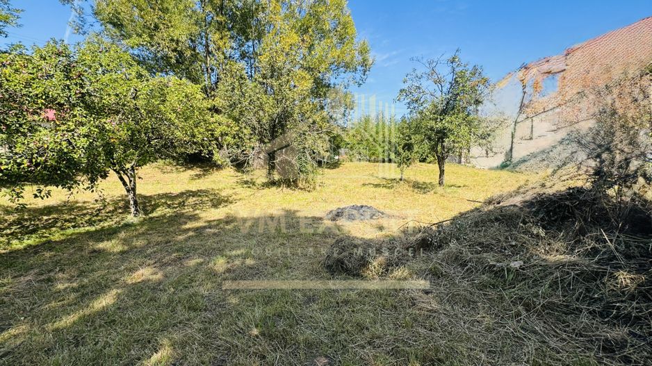 TEREN INTRAVILAN 3234 MP LEREȘTI VOINEȘTI ARGEȘ - Poză 31