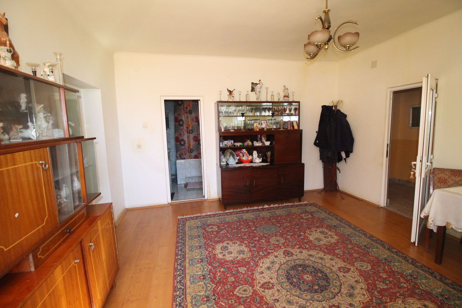 CASA CU TEREN GENEROS - Poză 10