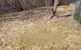 Teren | Intravilan | 1148 MP | Marginimea Sibiului - Poză 2