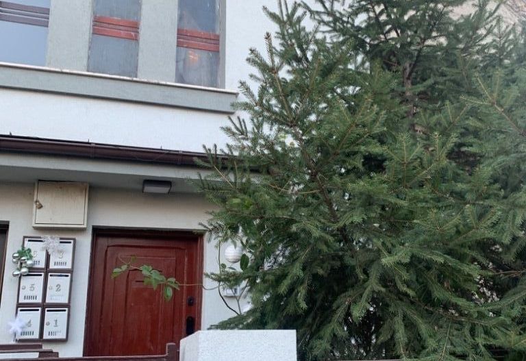 Vila Cotroceni - Poză 6