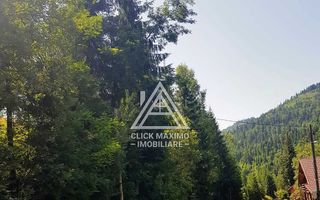 7130 mp TEREN INTRAVILAN ARIESENI-ALBA langa viitoarea partie de SCHI - Poză 3