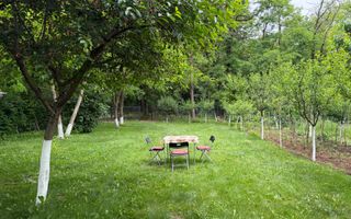 OCAZIE RARĂ - Teren cu cabană de vânzare lângă Lacurile Naturale - Ocna Sibiului - Poză 9