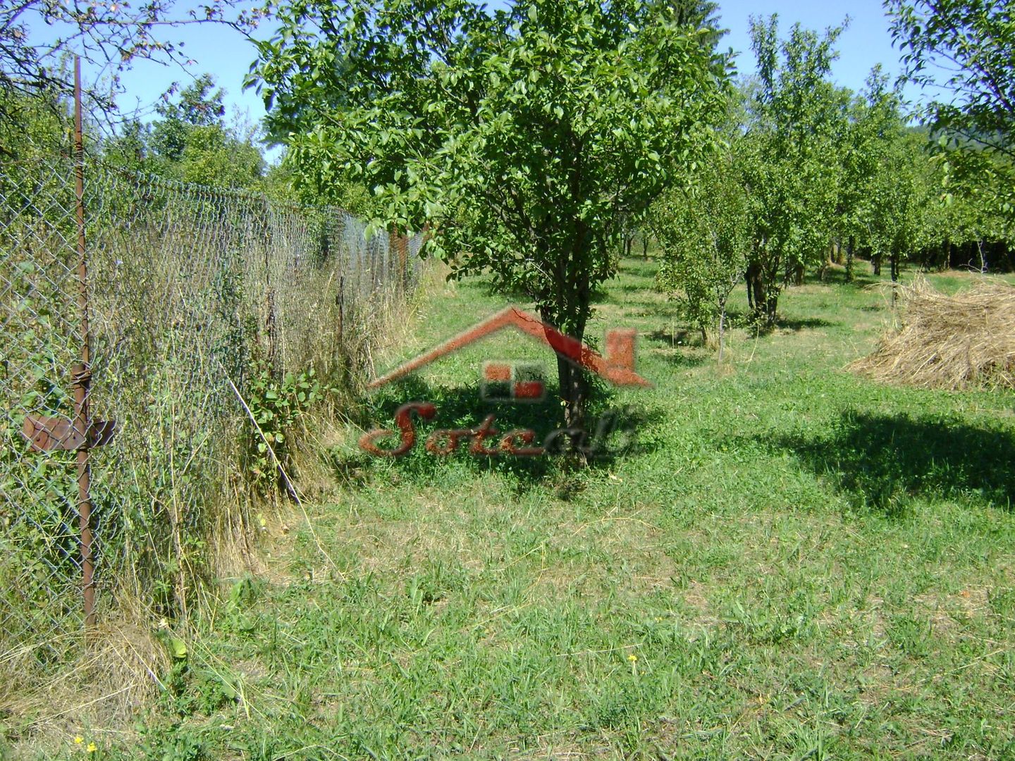 Teren  de vanzare Cornu 1919 mp - Poză 5