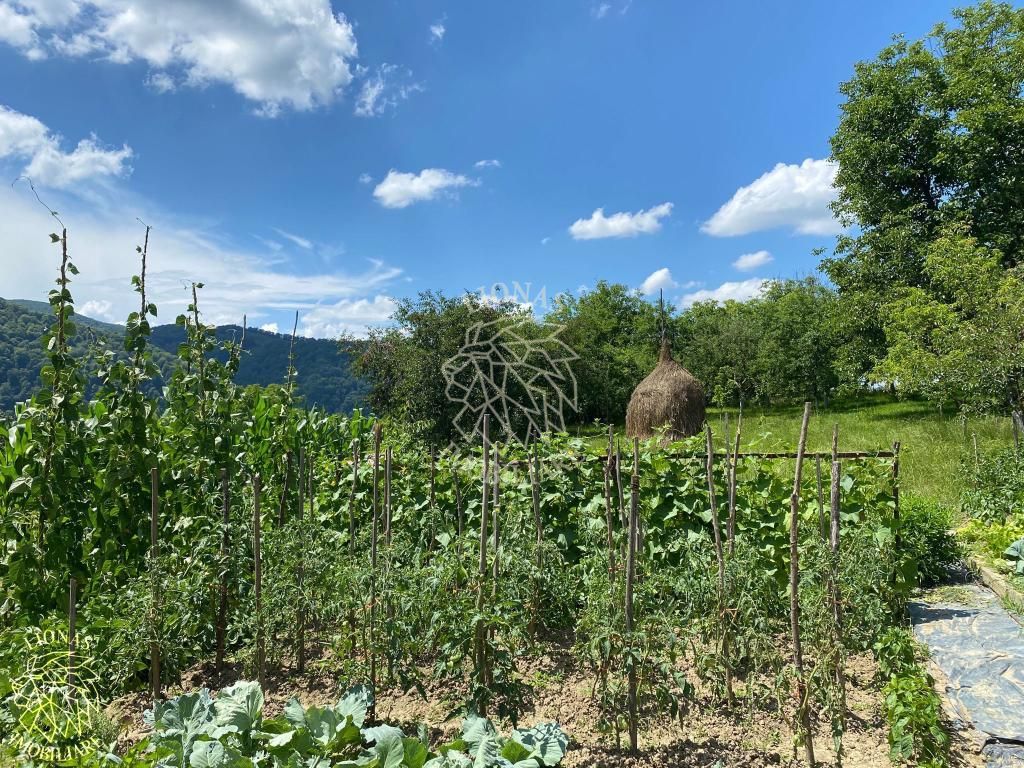 Casa 4 camere 170 mp-teren 1600 mp-terasa-gradina-Nasaud Central - Poză 7