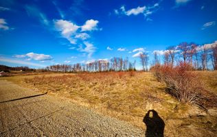 Teren intravilan | 48 ARI | Voivodeasa