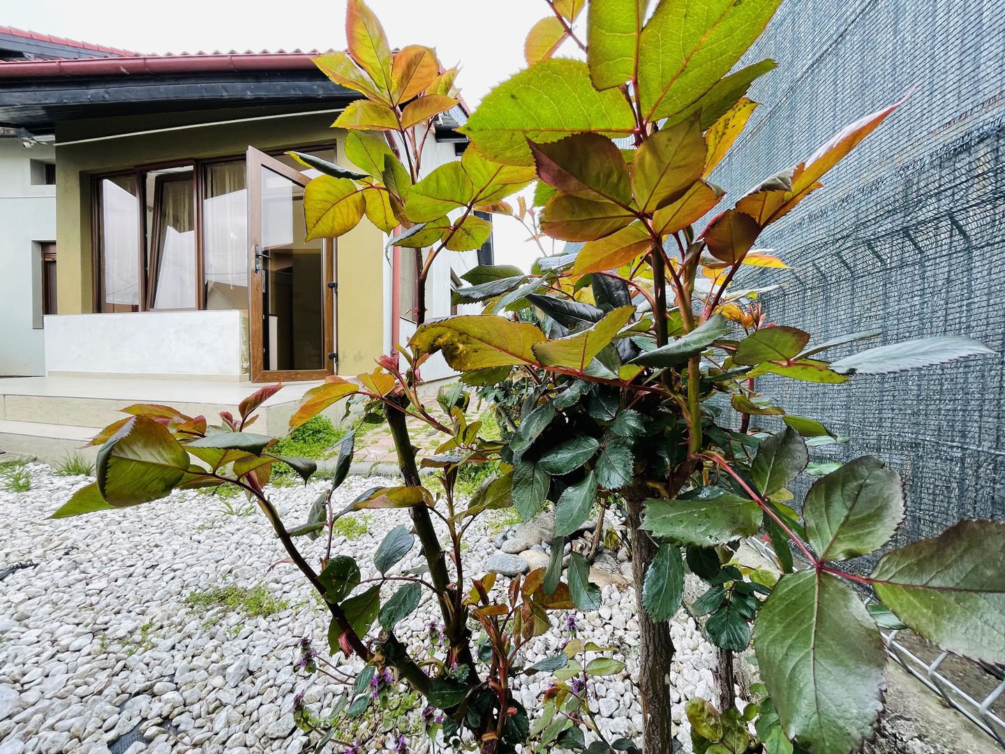 Casa din Dumbravita, 4 camere, 110 mp - Confort si liniste - Poză 45