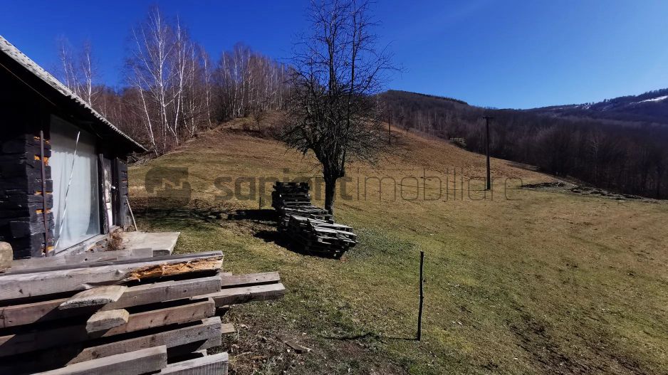 De vânzare teren intravilan 10,100 mp, cu anexă, Munteni - Poză 2
