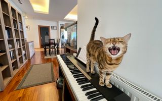 Apartament cu 3 camere *198mp*+ 2 Terase + Parking / Pipera - Poză 14