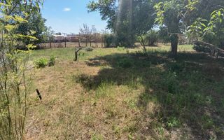 Spatiu industrial zona Sud-Arad - Poză 25