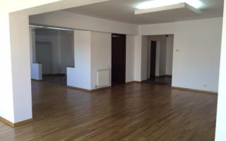 Apartament de lux Aviatorilor - Poză 6