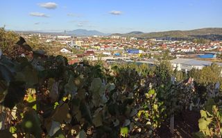 Teren intravilan 730 mp-livada-vedere panoramica-Valea Sigmirului - Poză 2