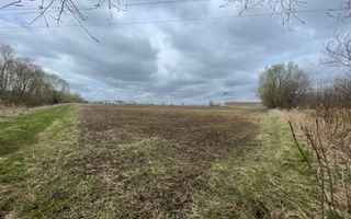 TEREN INTRAVILAN | 50 ARI | ZONA PERIFERICA RADAUTI - Poză 10