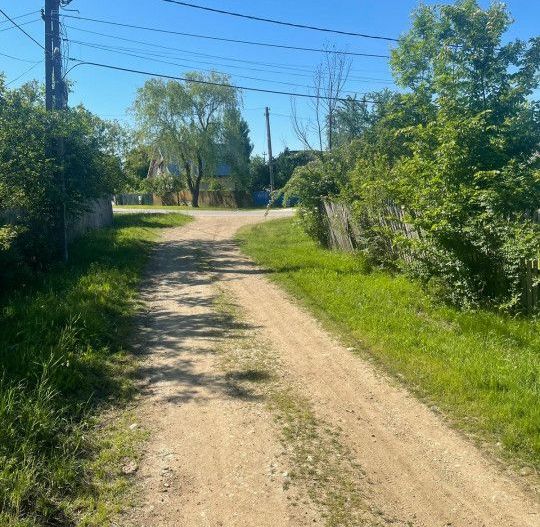 De Vanzare Gospodarie Cerbu - Poză 7