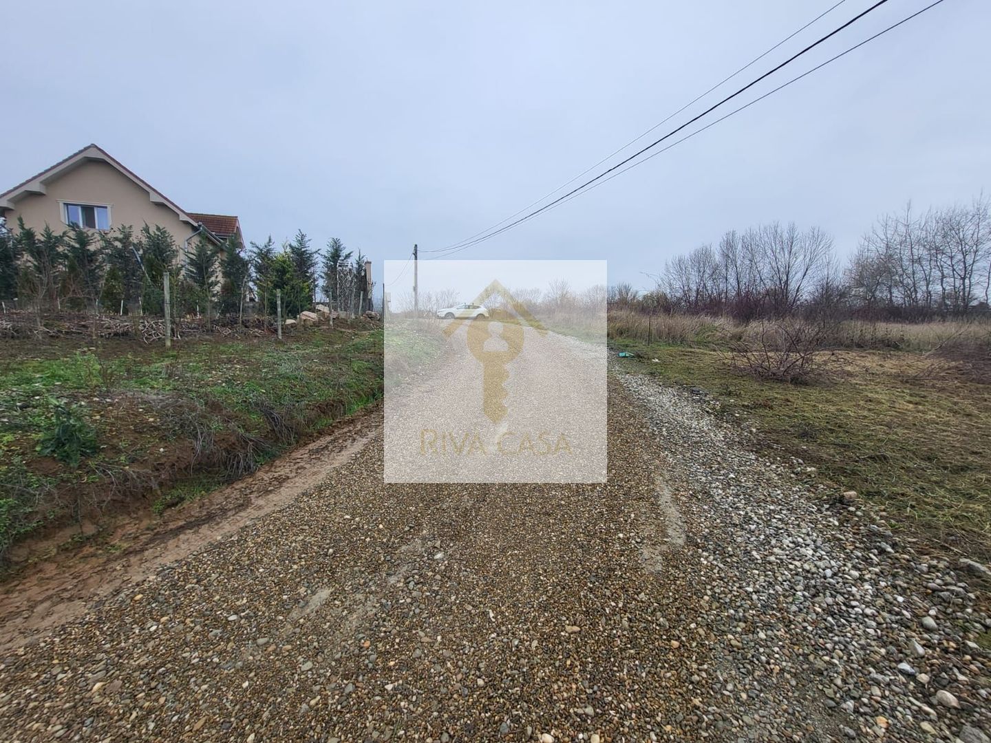 Teren extravilan Paleu - Poză 3