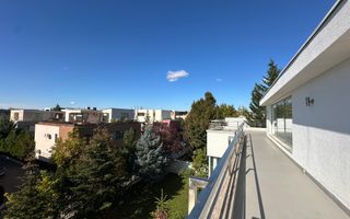 VILA INDIVIDUALA PIPERA Erou Iancu Nicolae - Poză 21