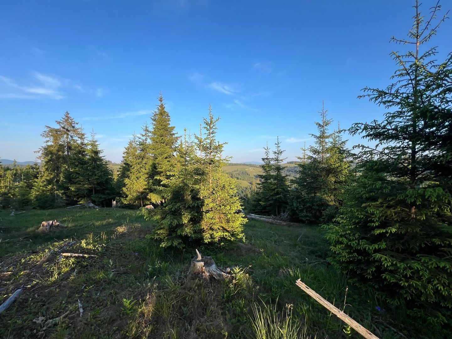 50 hectare teren | Moldova-Sulita | Potential turistic si agricol - Poză 11