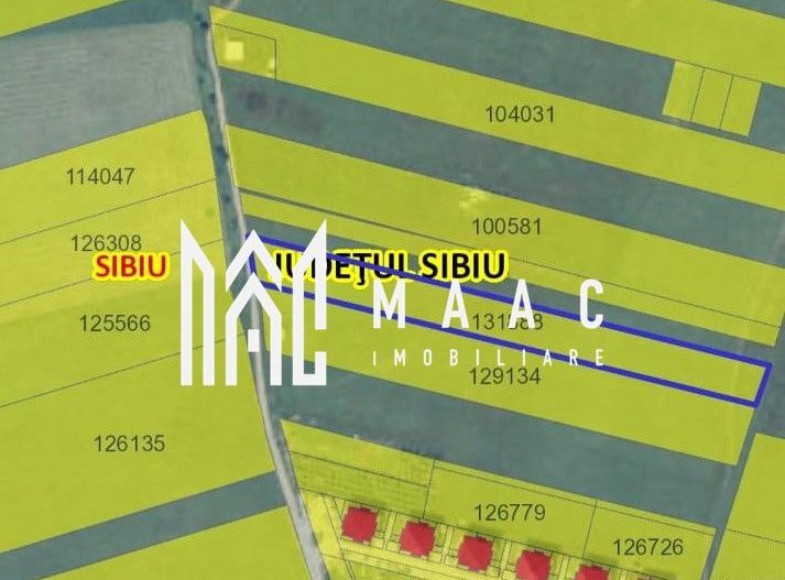 Teren Intravilan | 6000 mp | Turnisor - Poză 2