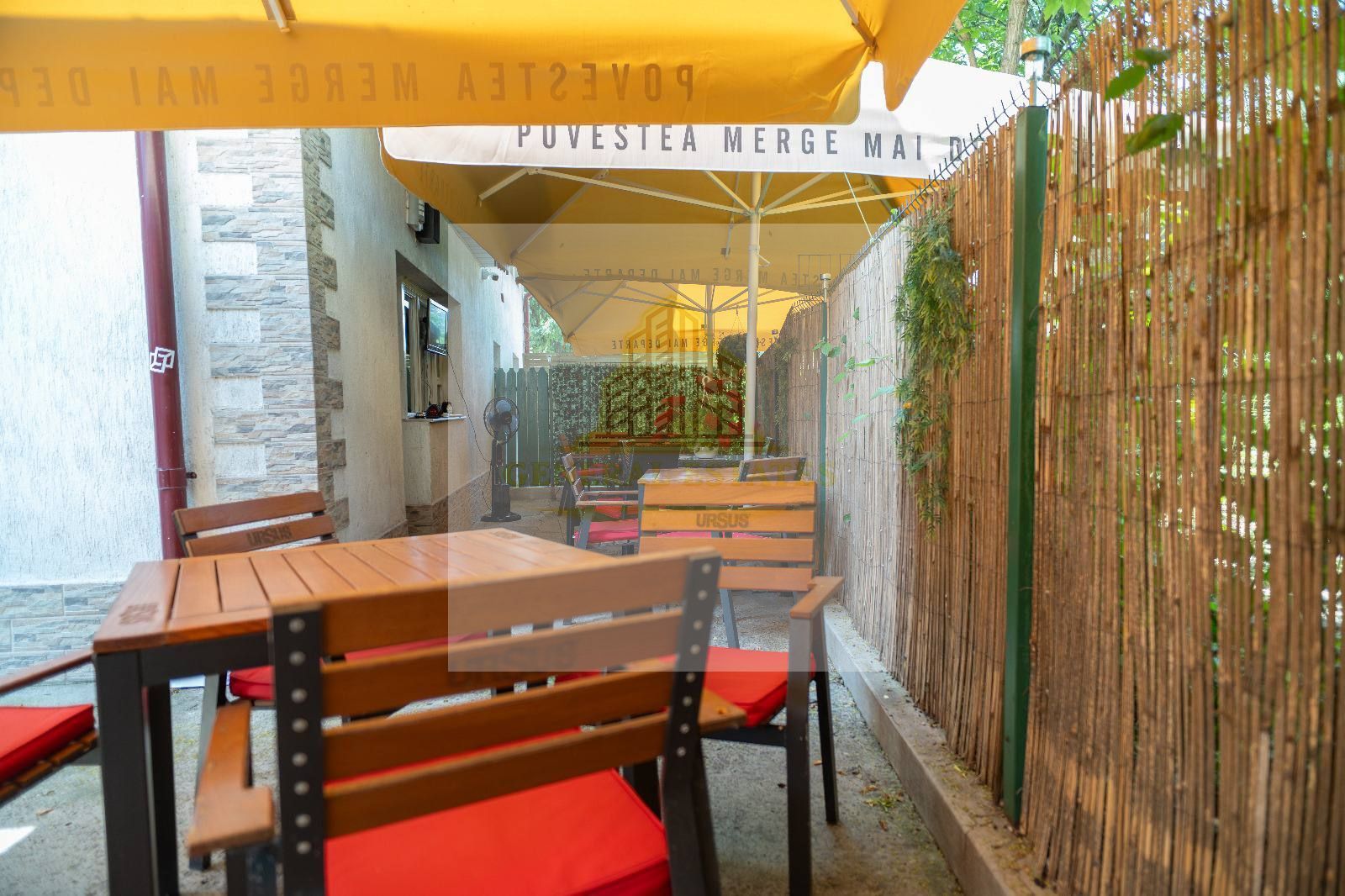 Afacere la Cheie în cartierul Frumoasa, Iași ! - Poză 8