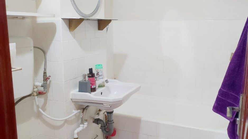 Apartament zona Nufaru - Poză 7