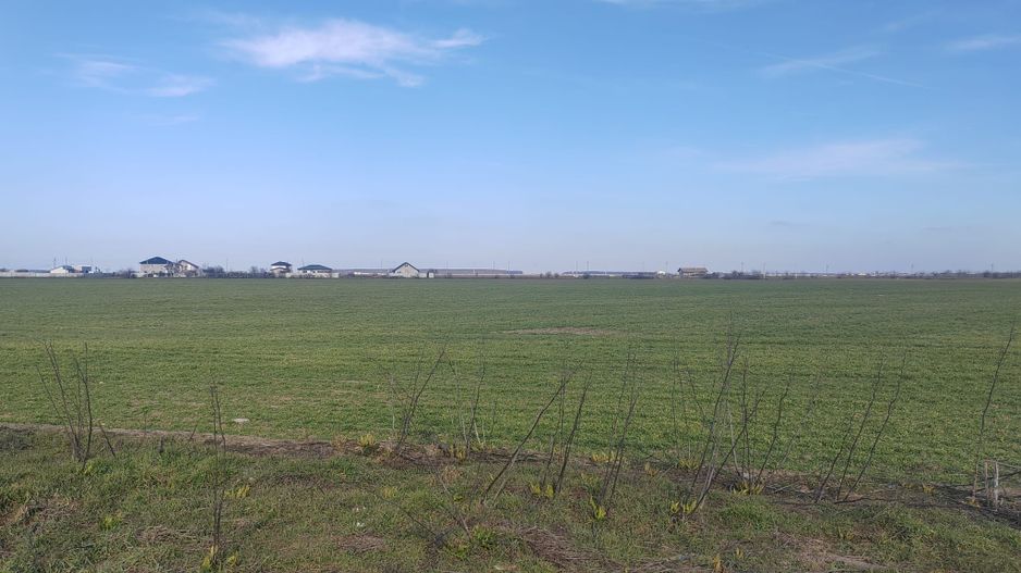 Cernica Tanganu super pret rezidential sau depozitare - Poză 3