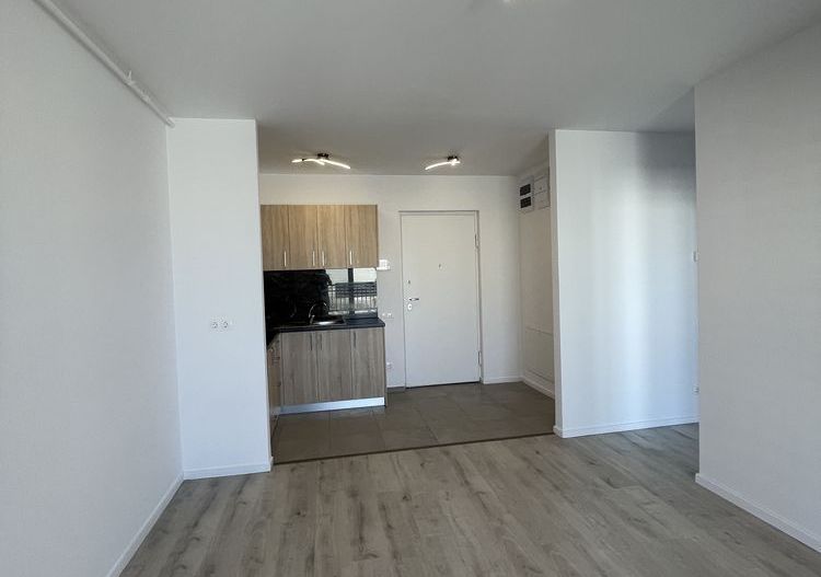 APARTAMENT 2 CAMERE | STUDIOU DUBLU | PIPERA - Poză 2