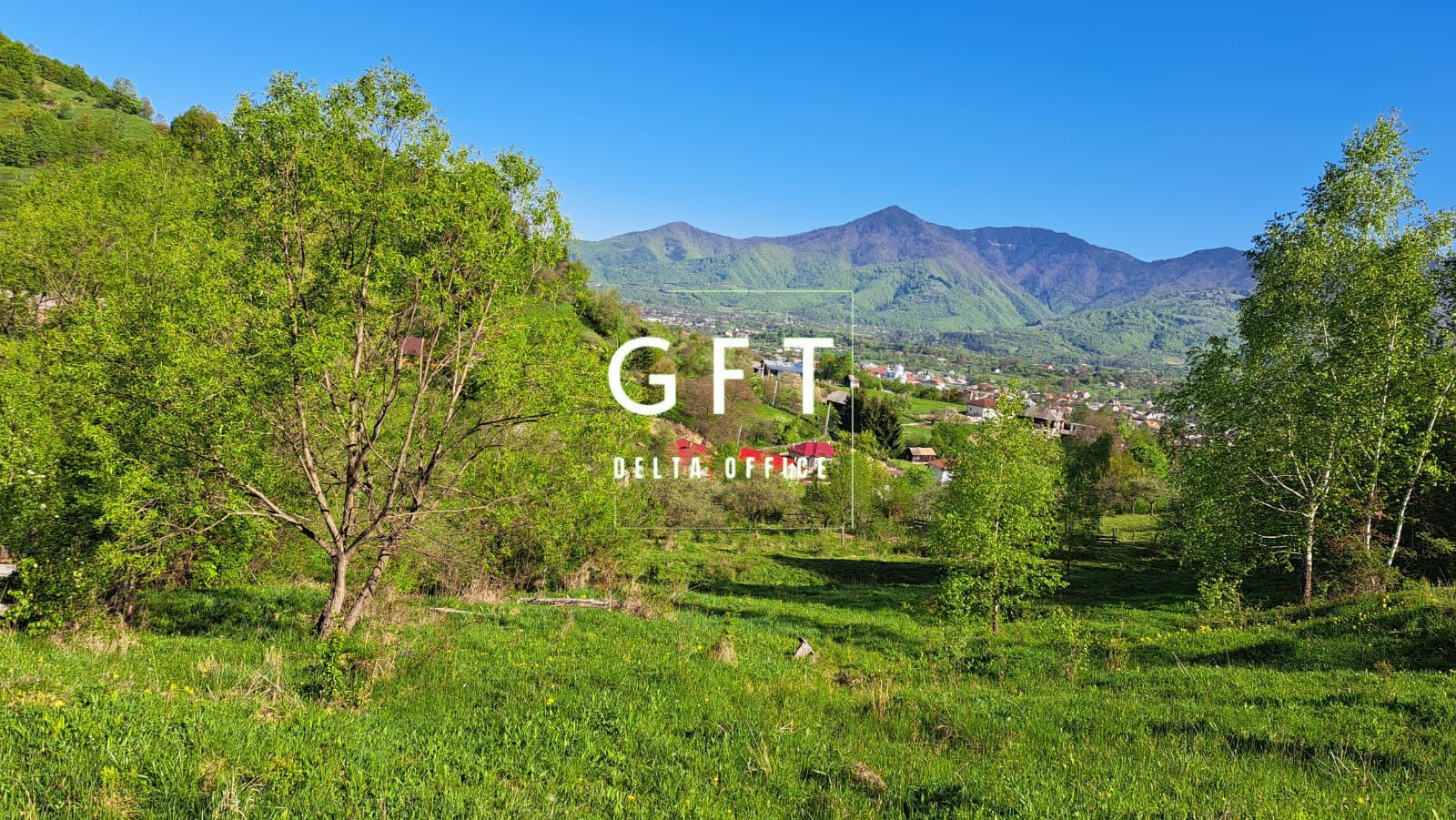 Teren extravilan de vanzare, Bistrita Bargaului- 10 minute de Colibita - Poză 3