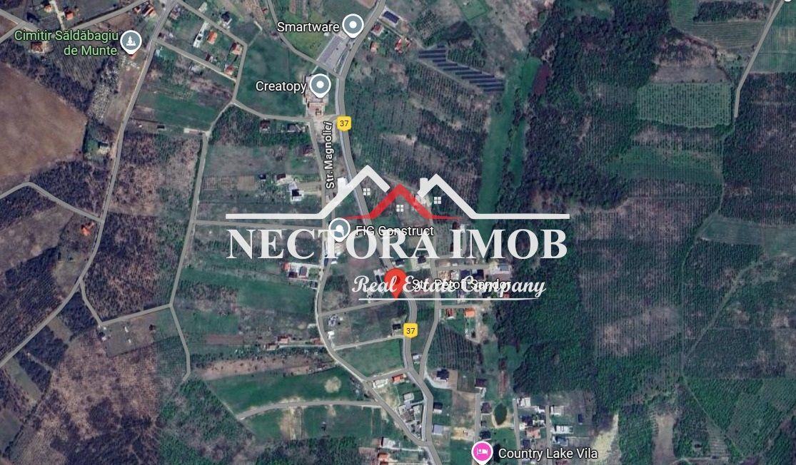 NECTORA IMOB-Exclusivitate Teren Intravilan Saldabagiu de Munte 1223mp - Poză 1