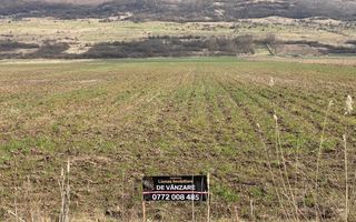 Teren Intravilan-3750mp- zona in plina dezvoltare-Podirei - Poză 4