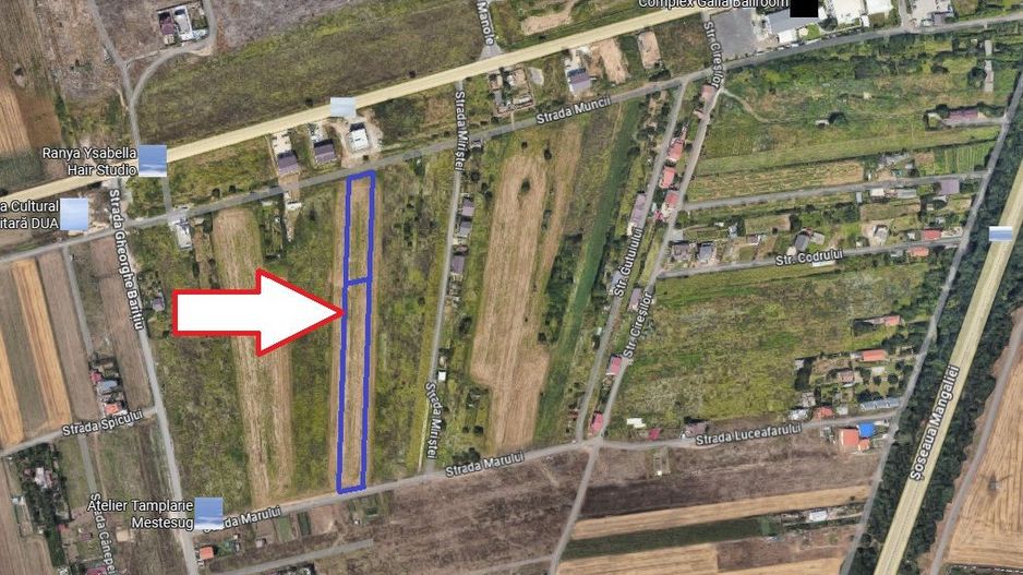 Teren Intravilan 4.390 mp – Lazu | Dublu Acces | 0% Comision - Poză 2