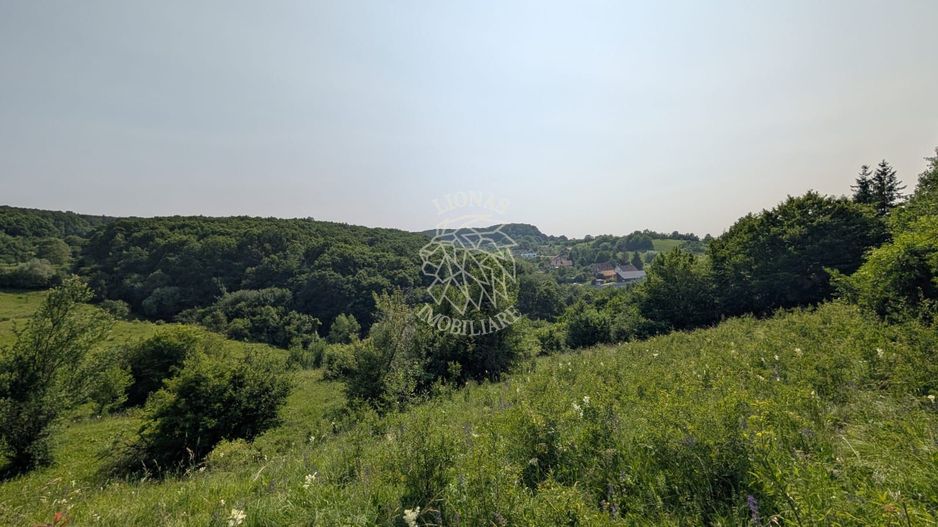 Teren extravilan 1930 mp,  5 min de centru, ideal Cabana, invetitie - Poză 2