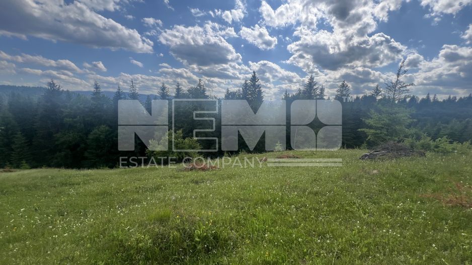 Teren Intravilan | Brodina de Jos | 16900 MP - Poză 4