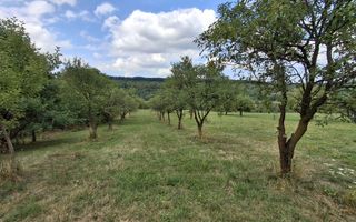 De vânzare teren extravilan în Sibiel, jud. Sibiu – 3223 mp - Poză 4