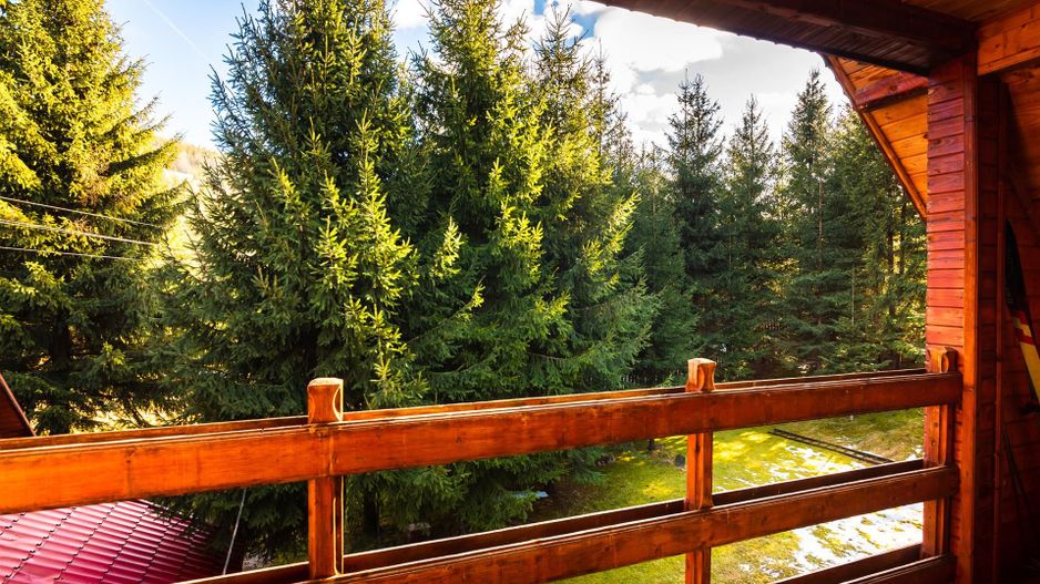 Cabane cu 10 camere Arieseni - Poză 14