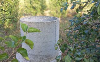 Teren intravilan de vânzare, Cristești-Brăești, Iași, 2.650 mp - Poză 8