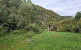 Teren Intravilan de Vânzare – 4000 mp – Râu Sadului - Poză 10