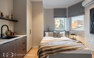 PRIMA INCHIRIERE STUDIO GRADINA ICOANEI - Poză 3