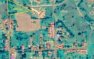 Teren intravilan 4.568 mp, 2 fronturi – Brebu Nou, Caraș-Severin - Poză 1