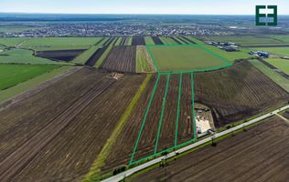 Teren intravilan cu acces la Drum Județean DJ 709 - 275200 mp - Arad