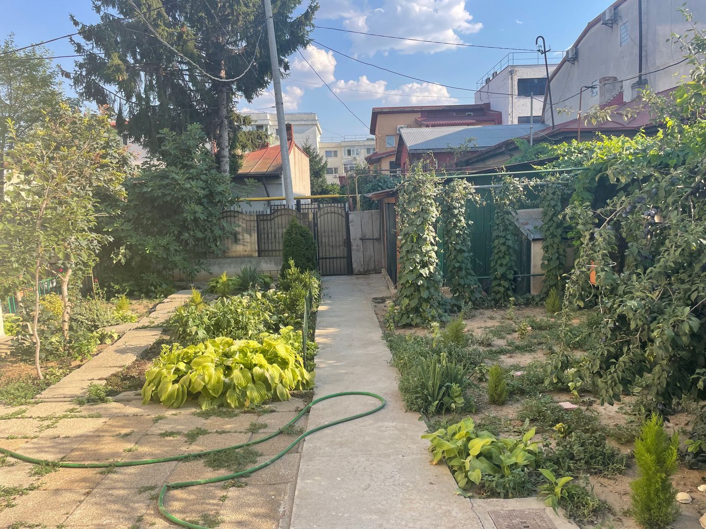 Casa de inchiriat | Aviatiei-Herastrau |7 minute de metrou - Poză 7